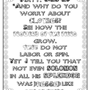 Matthew 6:28-30